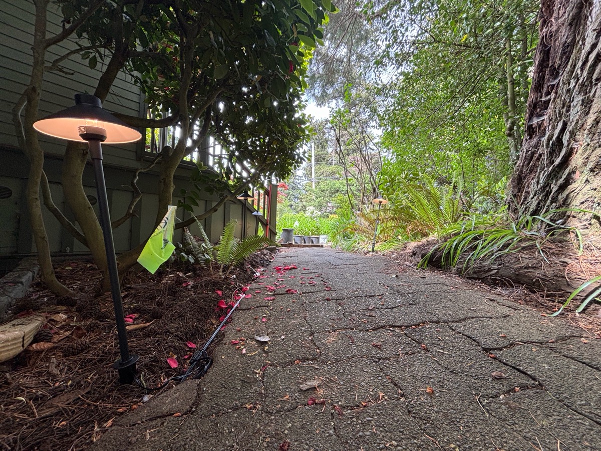 A low-voltage path light beside a mossy stone walkway through a shaded garden.